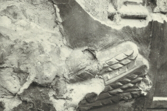 Krajská knihovna v Pardubicích, dům č. p. 78, detail - pštros 1955